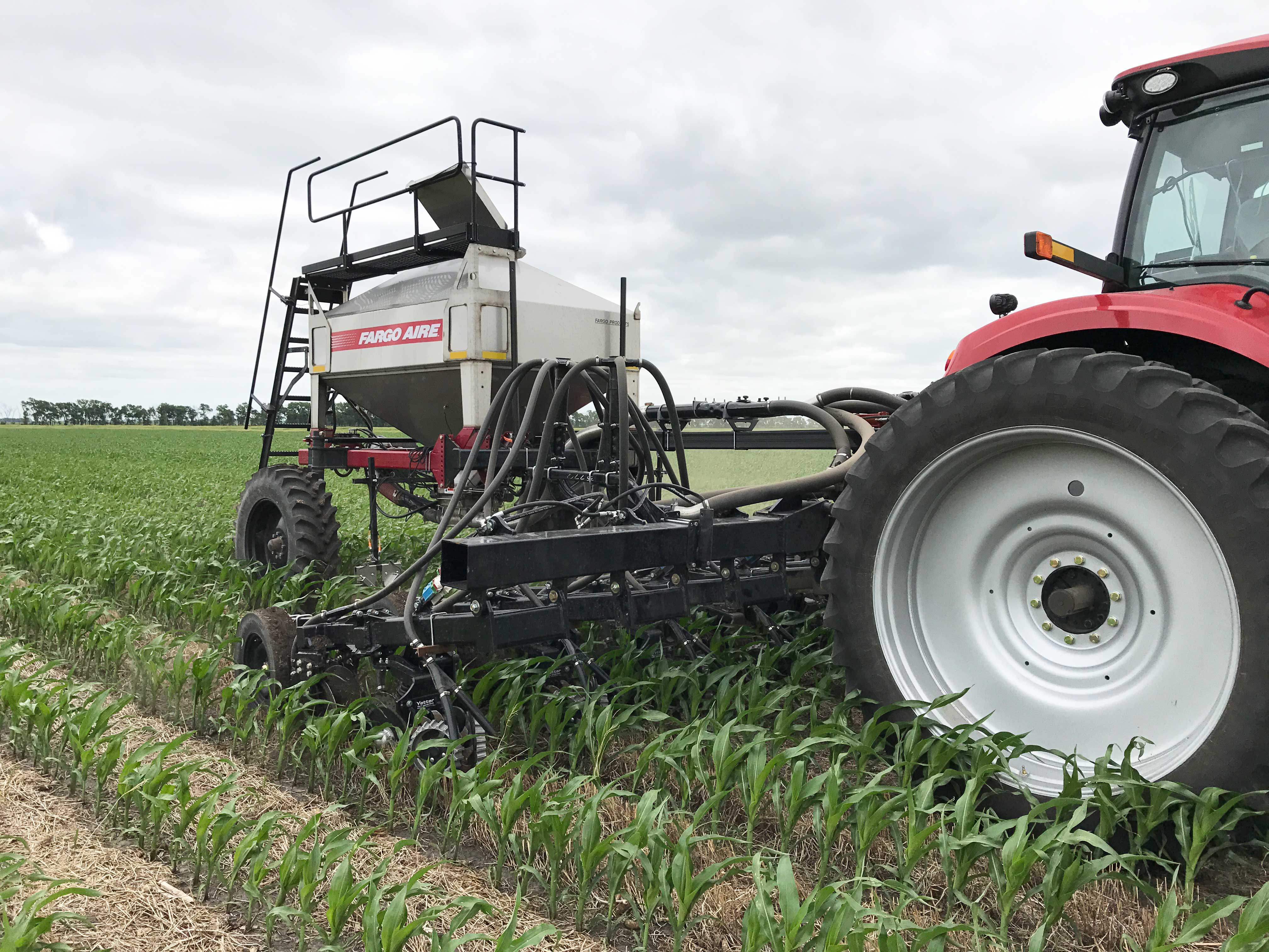 Frontiers  Cover Crops and Mechanical Scarification in the Yield and  Industrial Quality of Upland Rice