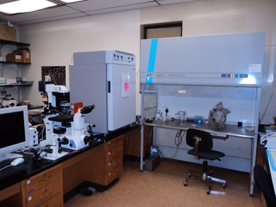 embryology lab