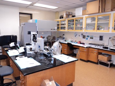 embryology lab equipment