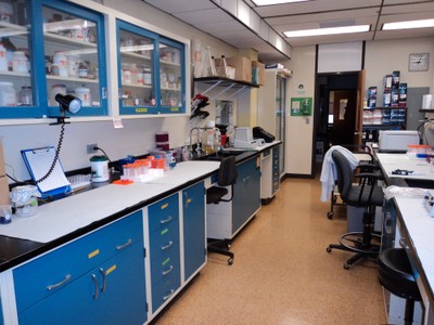 Molecular Biology Lab