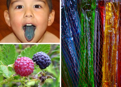 Three images: upper left - child with a tongue stained blue; lower left - black raspberries ripening; right - multi colored ice pops