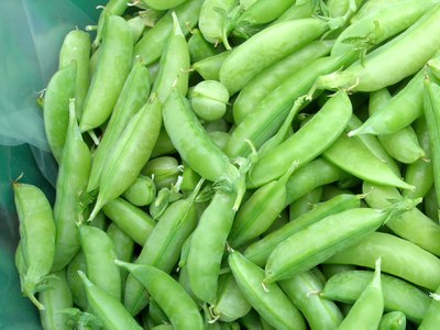 Pile of snap pea pods 