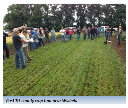 Past Tri-county crop tour near Wishek.