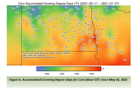 Figure 6. Accumulated Growing Degree Days for Corn (Base 50°) since May 10, 2021.png