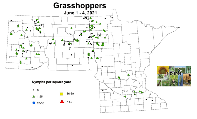 Grasshopper map from June 1-4, 2021