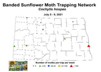 Banded Sunflower Moth Trapping Network map from July 5-9, 2021