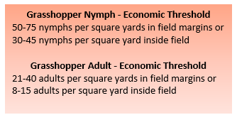 Economic Thresholds for grasshopper nymph and adult