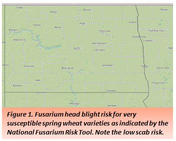 fusarium head blight in ND map June 17, 2021