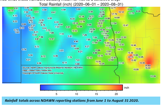 Map of rainfall totals across NDAWN reporting stations from June 1 to August 31, 2020.