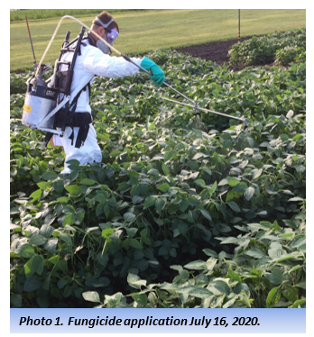Photo of person doing fungicide application on soybean on July 16, 2020