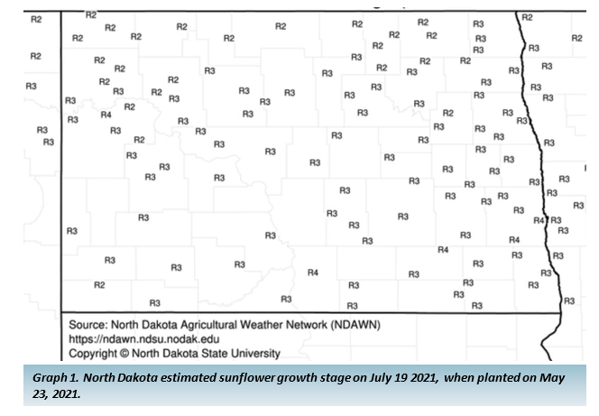Graph 1. North Dakota estimated sunflower growth stage on July 19 2021, when planted on May 23, 2021.