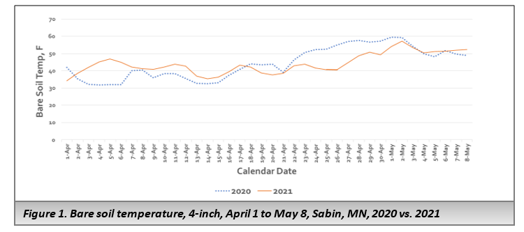 Line chart showing the bare soil temperature at 4-inches in Sabin, MN from April 1 to May 8 in 2020 and 2021