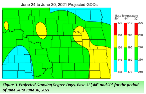 Figure 3. Map: Projected growing degree days, Base 32-, 44- and 50-degrees for the period of June 24 to June 30, 2021. 