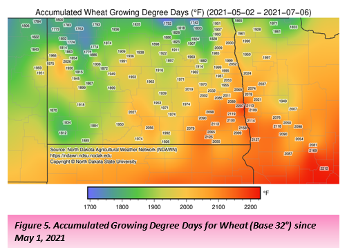 Figure 5. Accumulated Growing Degree Days for Wheat (Base 32°) since May 1, 2021