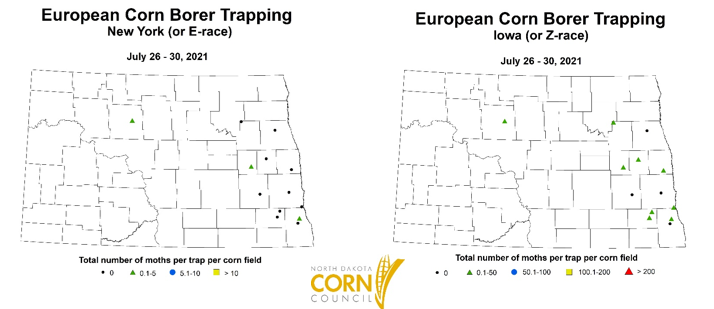 European Corn Borer Trapping Maps July 26-30, 2021.png