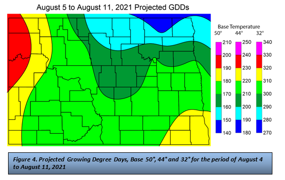 Figure 4. Projected Growing Degree Days, Base 50°, 44° and 32° for the period of August 4 to August 11, 2021.png