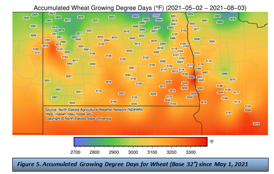 Figure 5. Accumulated Growing Degree Days for Wheat Base 32degrees since May 1, 2021.png