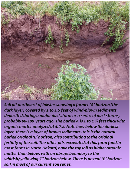 Soil pit northwest of Inkster showing a former ‘A’ horizon 