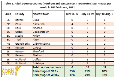 Table 1 Adult corn rootworms per 4 traps per week in ND field corn, 2021.png