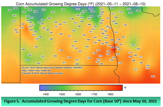 Figure 5.  Accumulated Growing Degree Days for Corn (Base 50°) since May 10, 2021