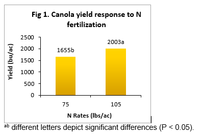 Canola yield response to N fertilization