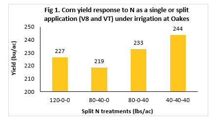 Chart showing Corn yield response to N as a single or split application (V8 and VT) under irrigation at Oakes 