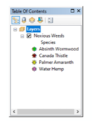 Feature Class layer with four species of noxious weeds