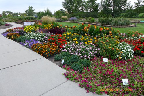 Garden beds featuring plants that were All-America Selections winners at the NDSU Horticulture Research & Demonstration Gardens 