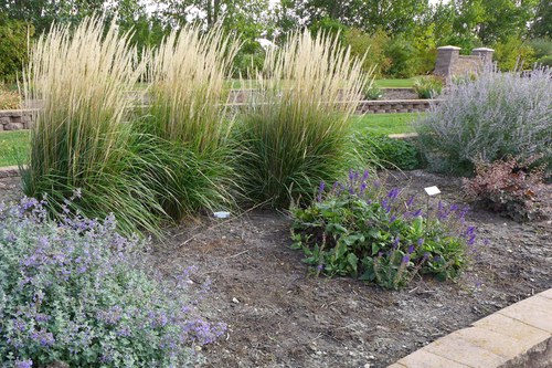 Perennials that have been named ‘Perennial Plant of the Year’  in a bed at the NDSU Horticulture Research & Demonstration Gardens
