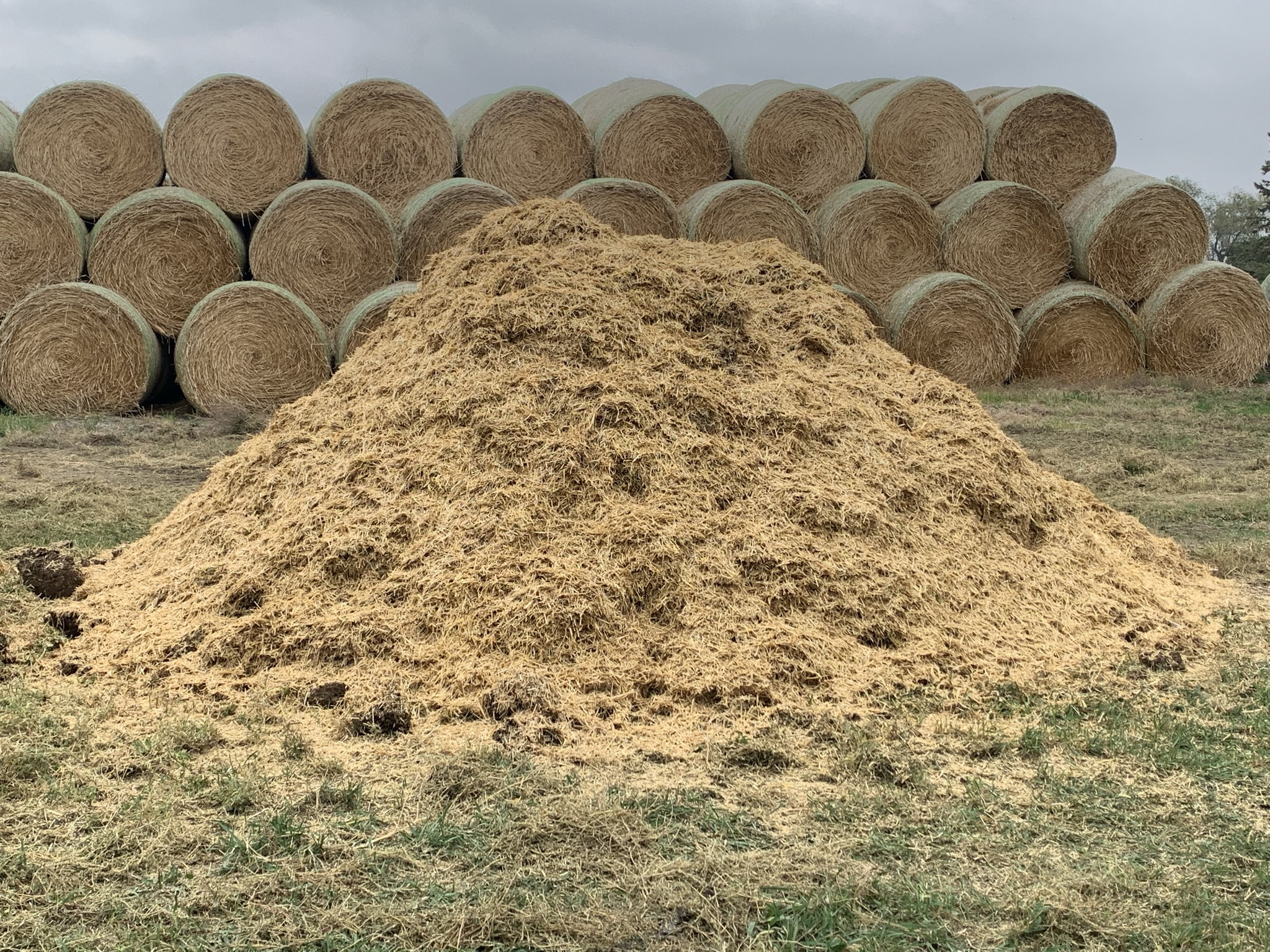 dead livestock compost pile with hay on top