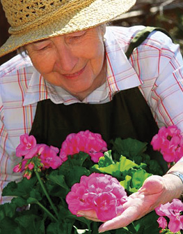 elderly woman flower gardening 