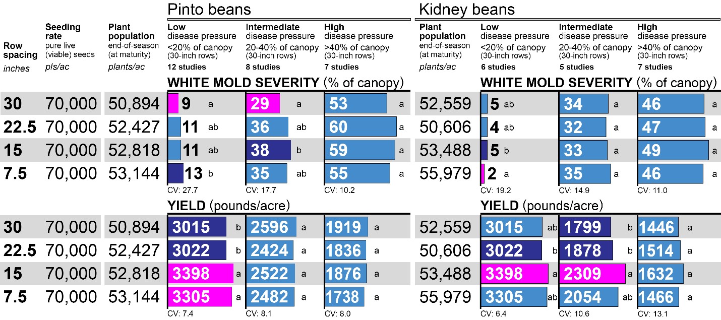 Graph showing impatof row spacing on white mold severity and yield in pinto and kidney beans.