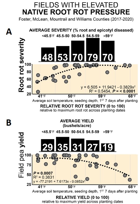 Figure 2. (A & B) Field pea A) root rot severity and B) yield vs. soil temp (2" deep) in 7 days after planting across multiple planting dates.