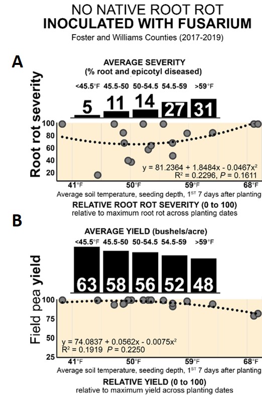 Figure 3. (A & B) Field pea A) root rot severity and B) yield vs. avg. soil temp (2" deep) in 7 days after planting on three dates in fields with root rot history.