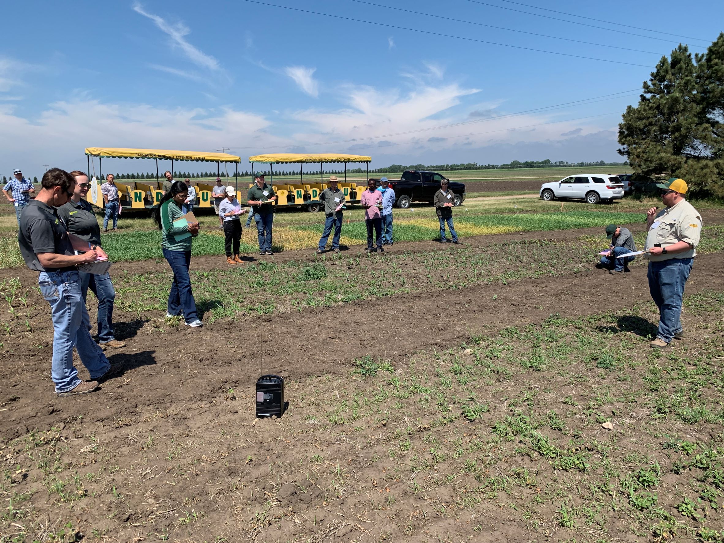Field school participants viewing herbicide site-of-action demonstration