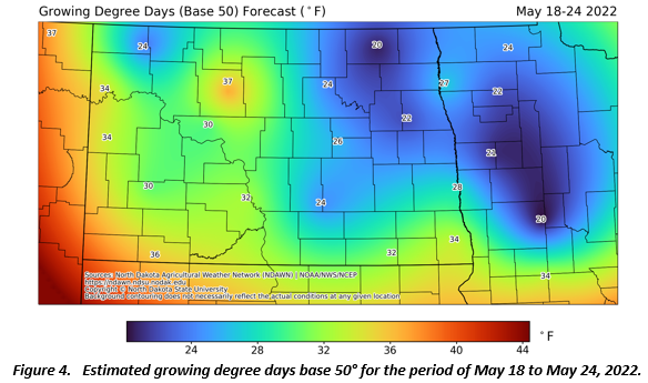 Figure 4.   Estimated growing degree days base 50° for the period of May 18 to May 24, 2022.