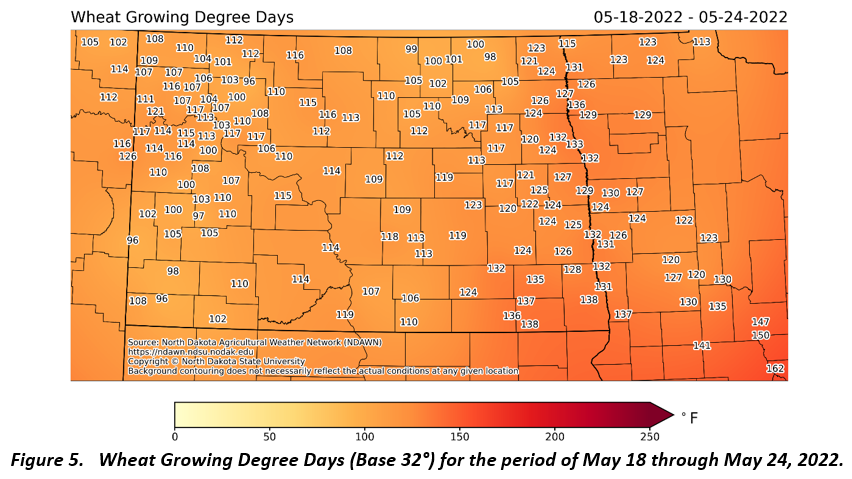 Figure 5. Wheat Growing Degree Days (Base 32°) for the period of May 18 through May 24, 2022.