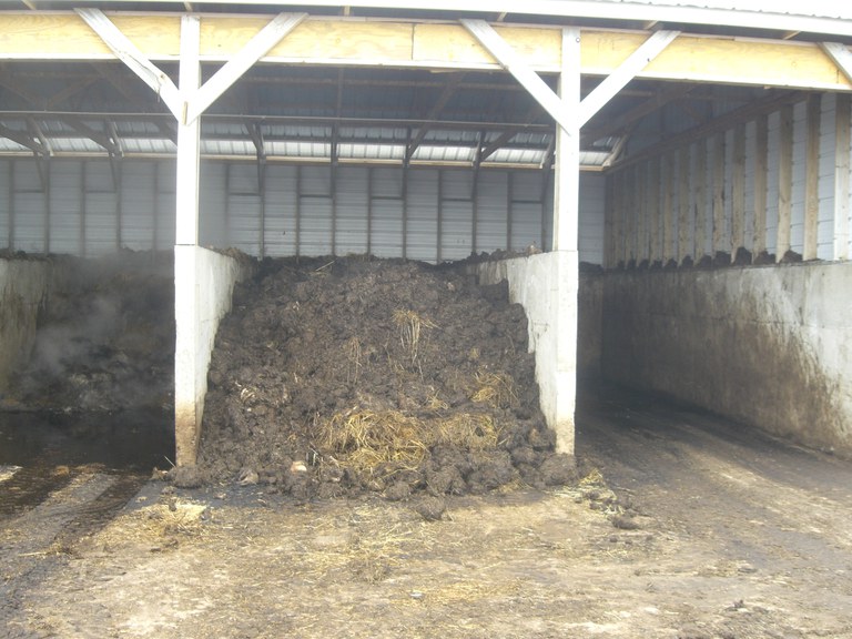 Figure 2. Bins arranged for sow and litter composting. Additional space is for co-composting material storage and handling. 