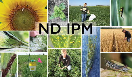 ND IPM Logo