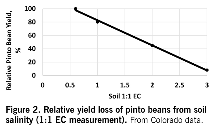Figure 2. Relative yeild loss of pinto beans from soil salinity (1:1 EC measurement). Fro Colorado data.