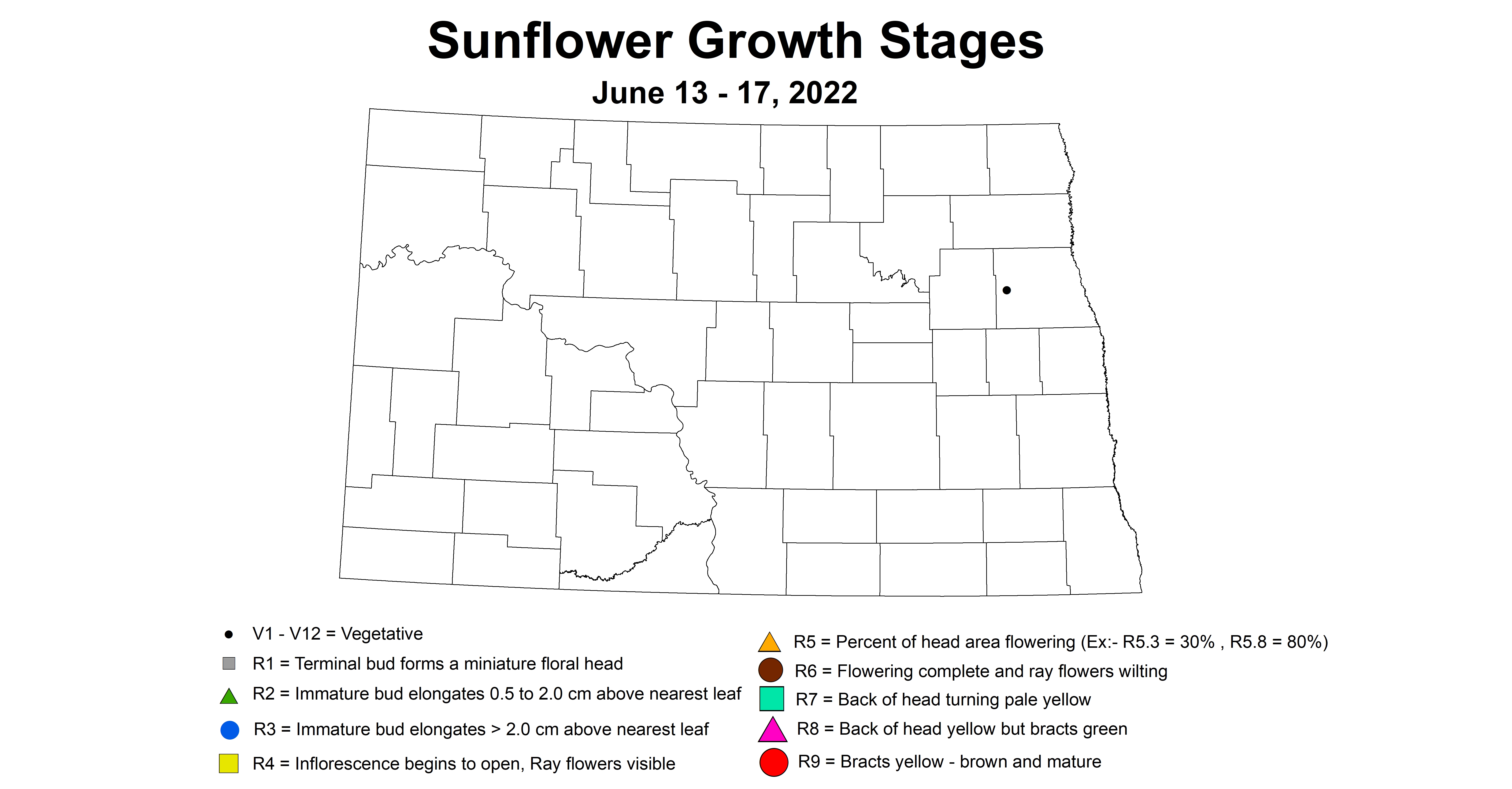 ND IPM map of sunflower growth stages June 13 - 17 2022