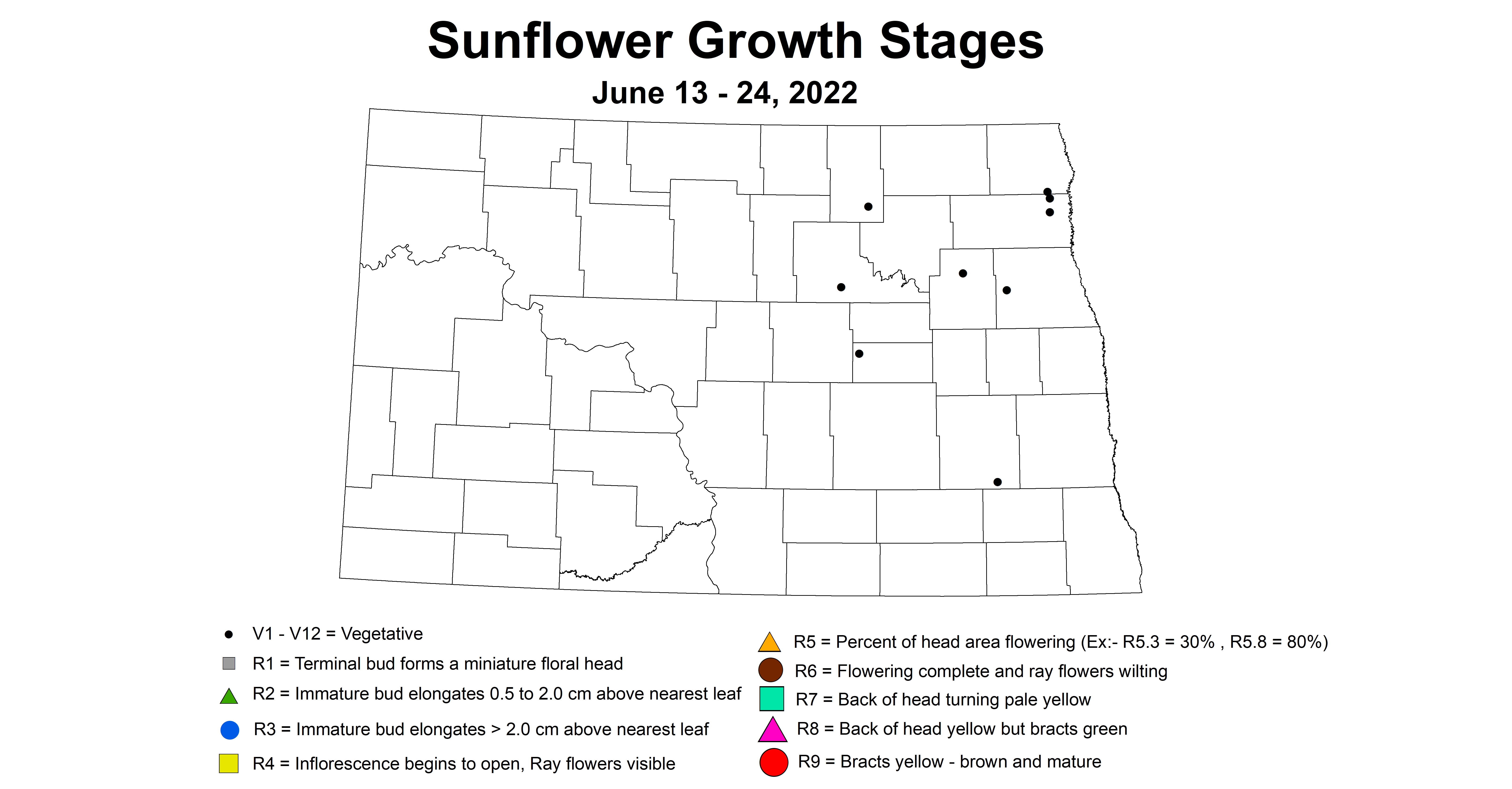 ND IPM map of sunflower growth stages June 13 - 24, 2022