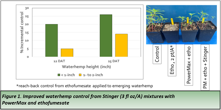 Figure 1. Improved waterhemp control from Stinger (3 fl oz/A) mixtures with PowerMax and ethofumesate