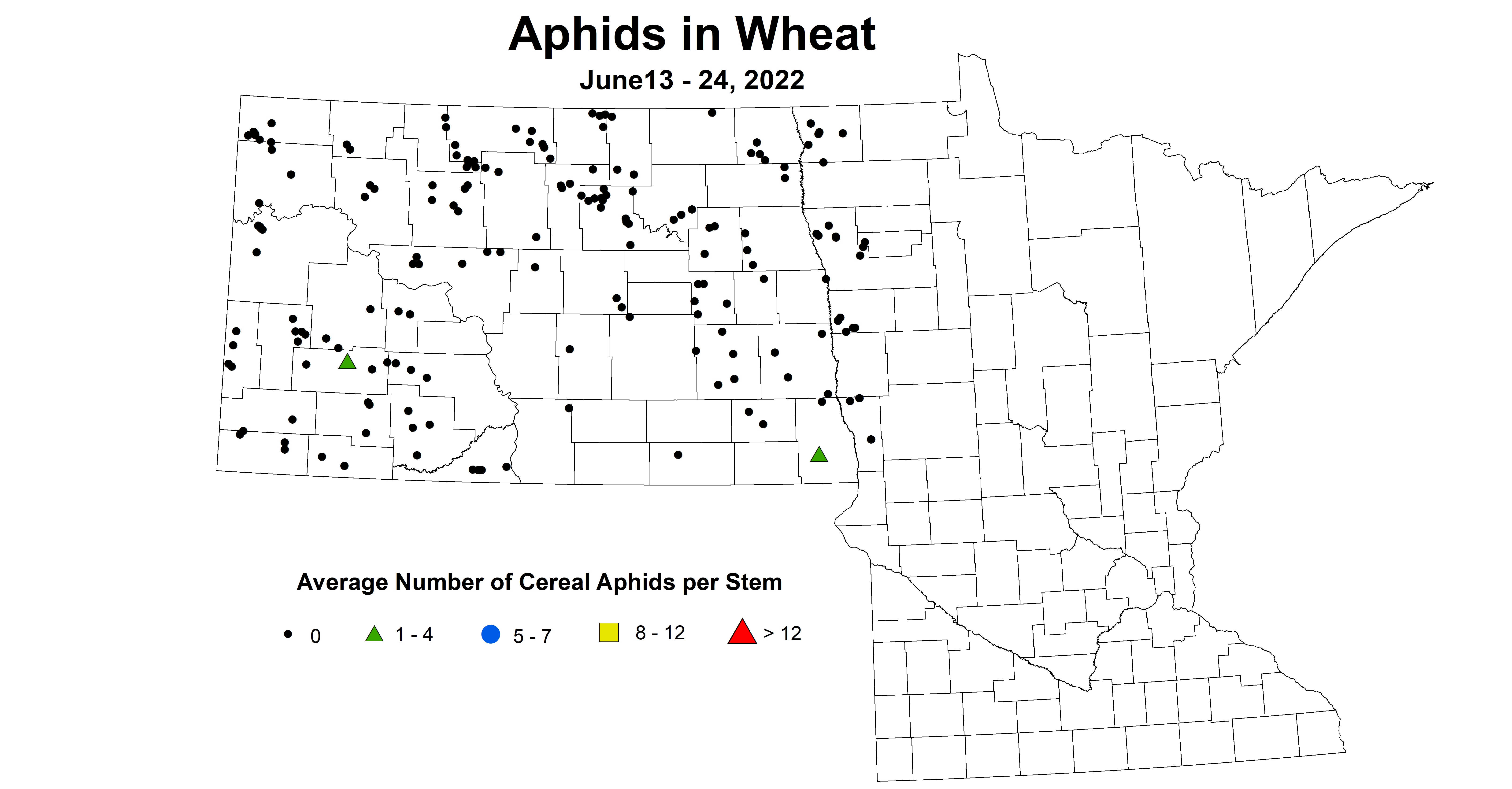 ND IPM map of wheat aphids June 13-24, 2022