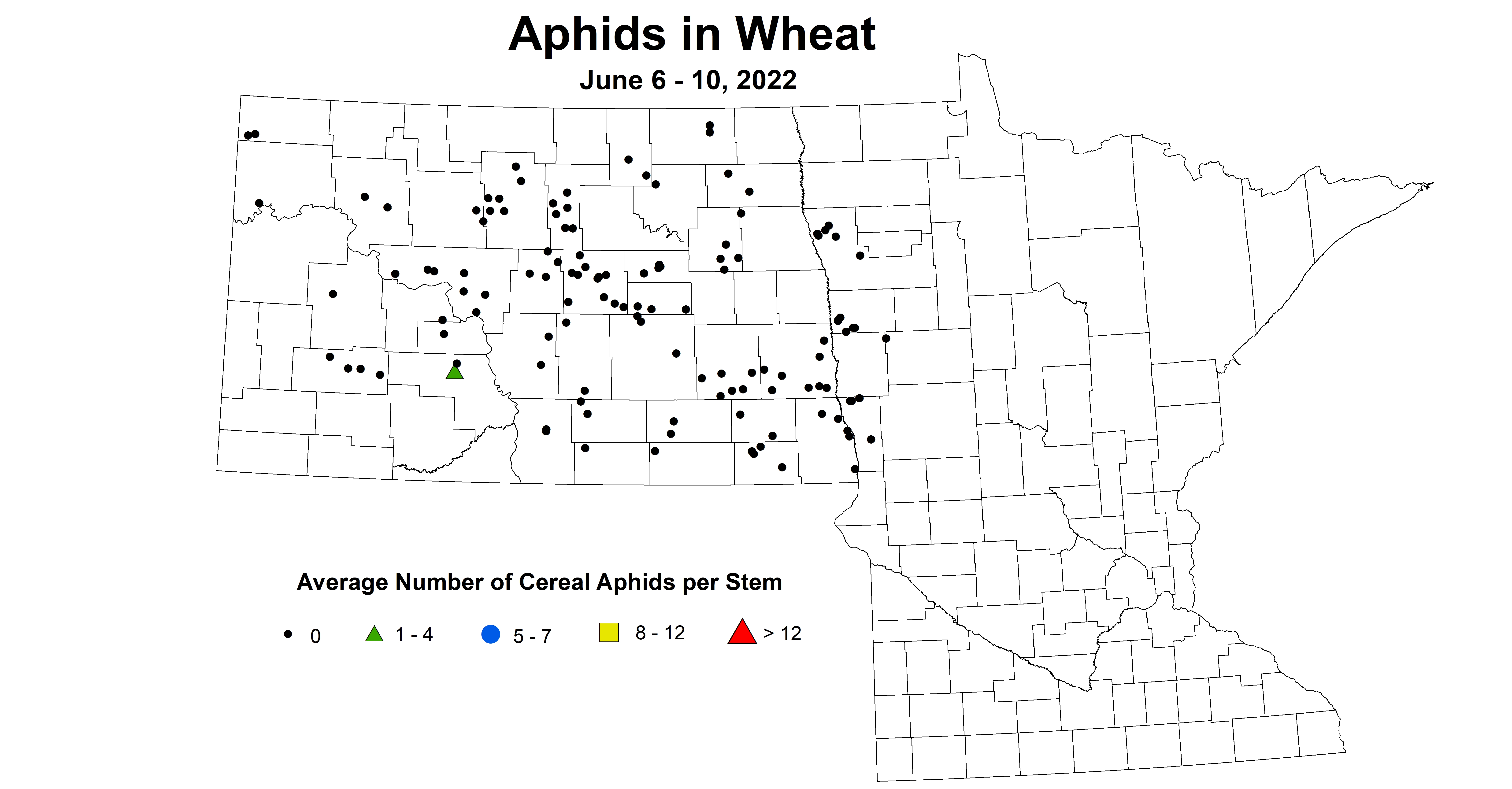 ND IPM map of wheat aphids June 6-10, 2022