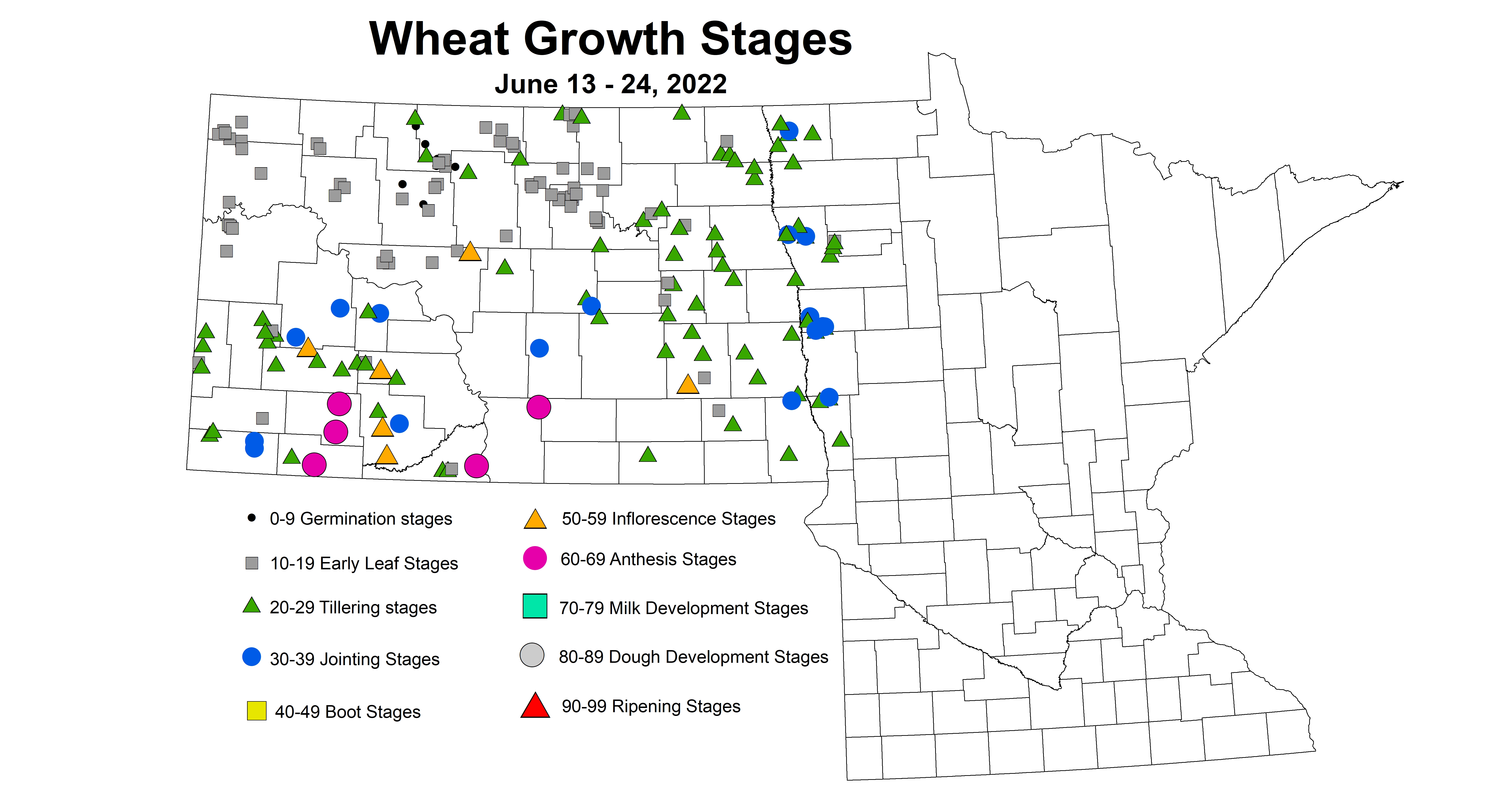 ND IPM map of wheat growth stages June 13-24, 2022