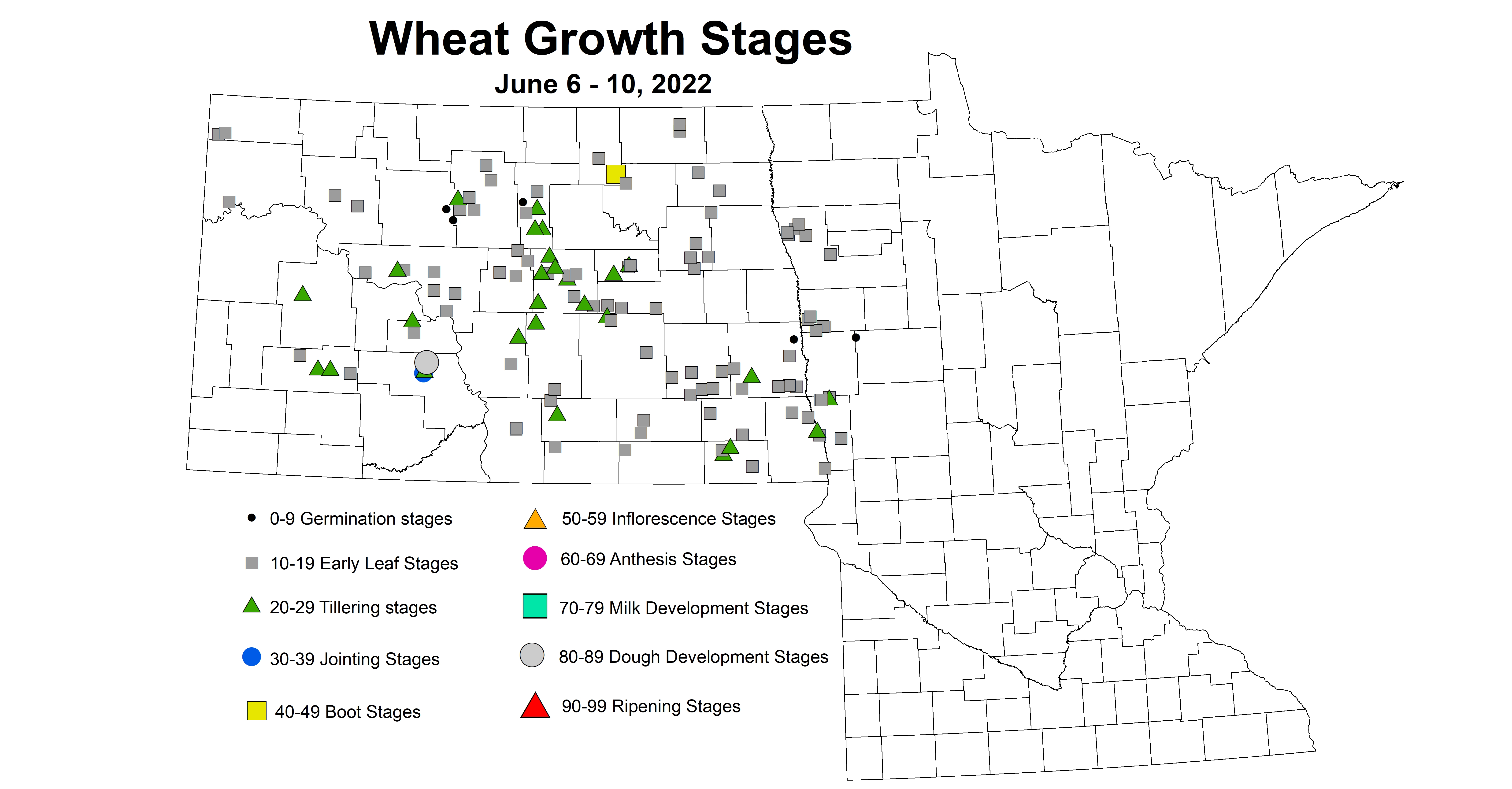 ND IPM map of wheat growth stages June 6-10, 2022