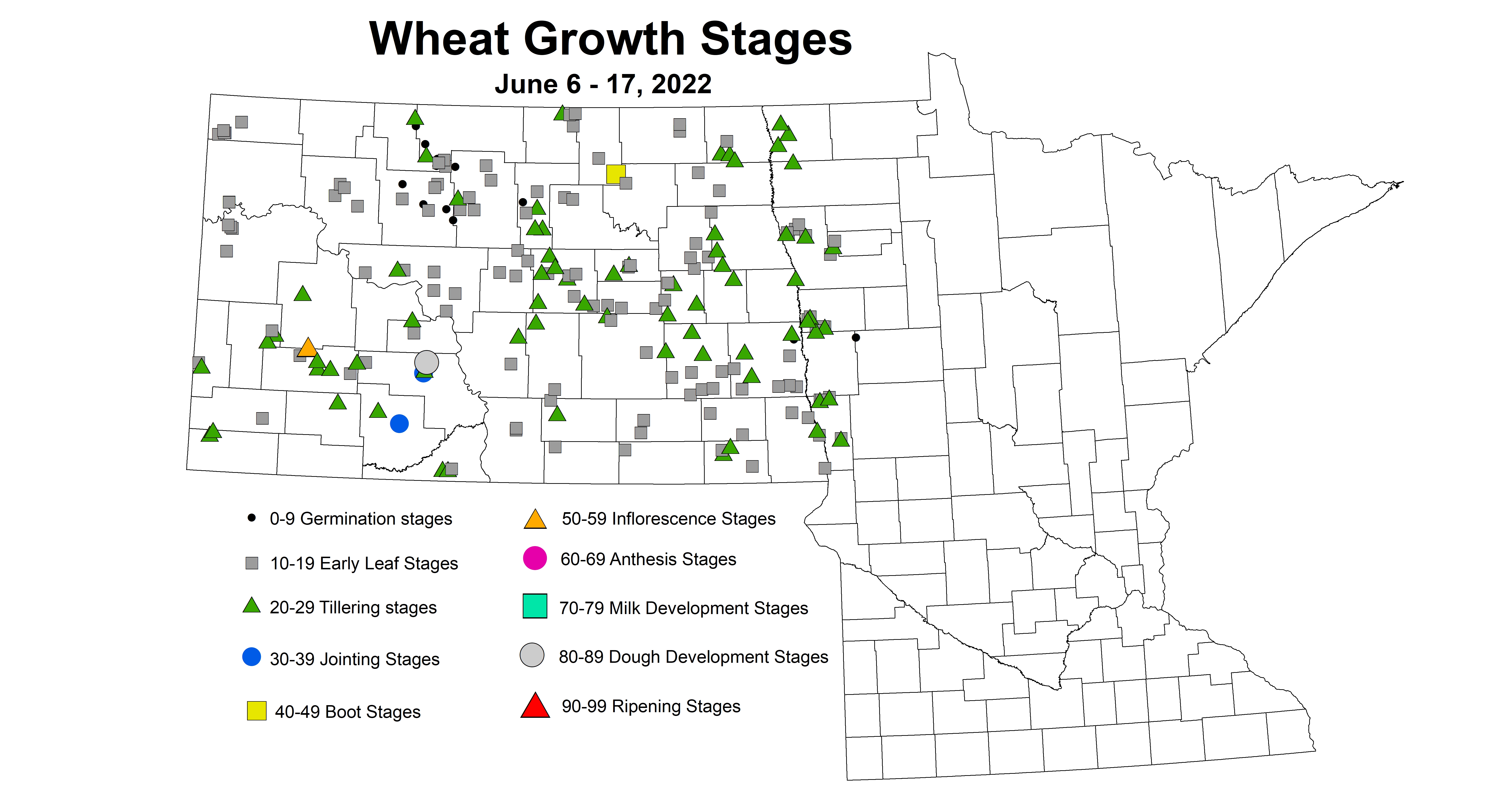 ND IPM map of wheat growth stages June 6-17, 2022