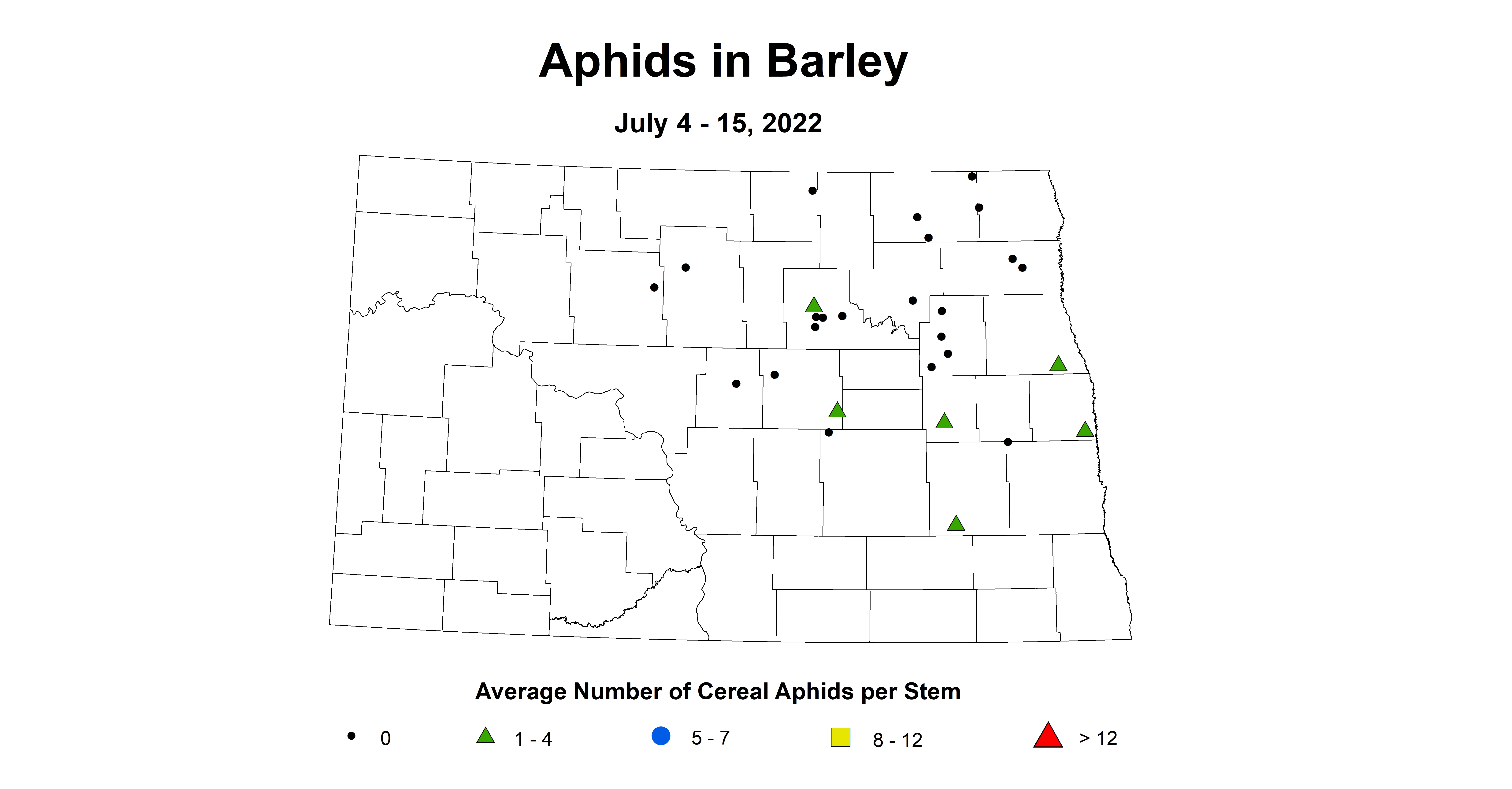 barley aphids 2022 7.4-7.15