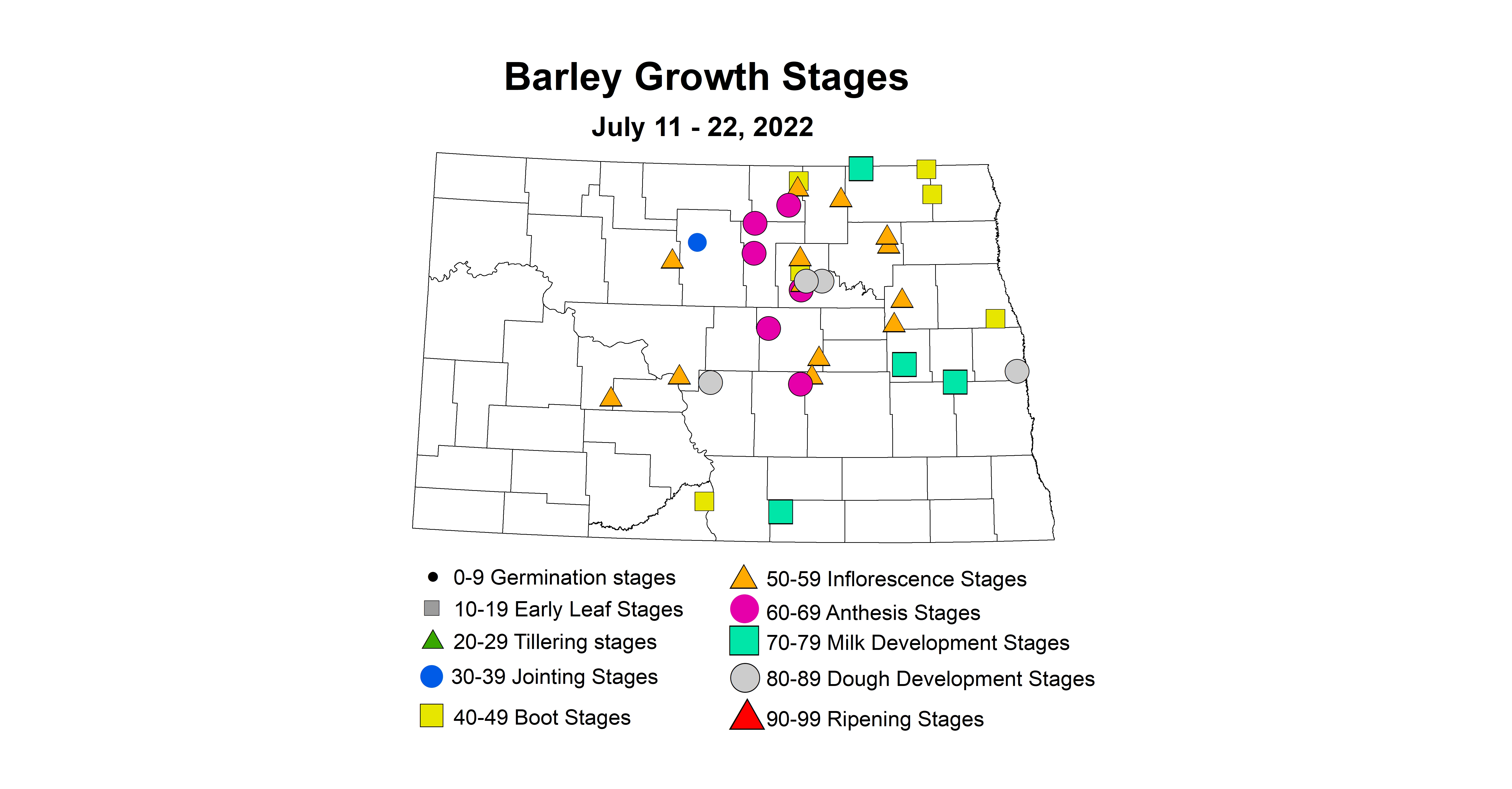 barley growth stages 2022-7.11-7.22